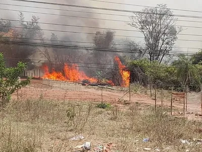 Segunda-feira (16) começa com 11 municípios de SP com focos de incêndio