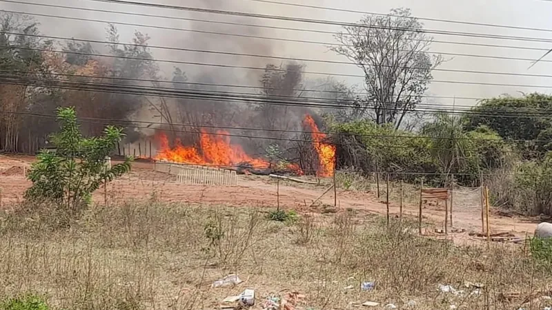 Segunda-feira (16) começa com 11 municípios de SP com focos de incêndio