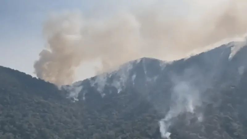 Vídeo: imagens aéreas mostram focos de incêndio em Bananal