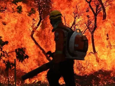 Força-tarefa investiga ação criminosa no incêndio do Parque Nacional de Brasília