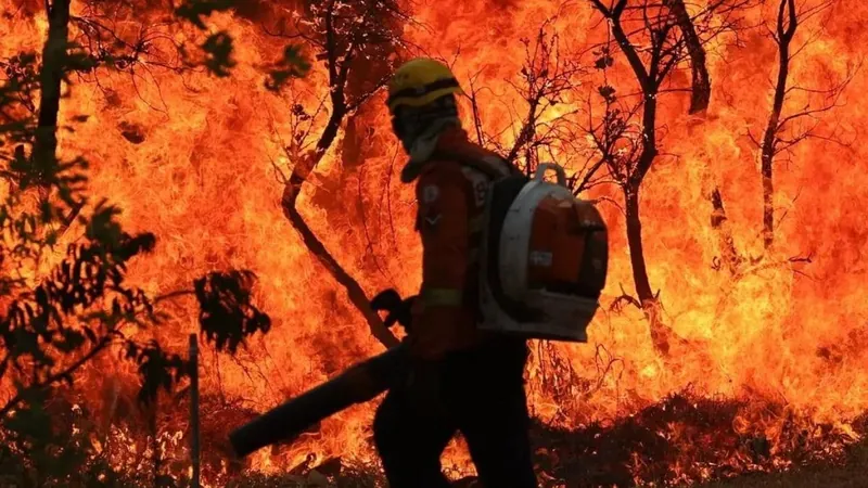 Em meio às queimadas, AGU cria grupo para combater crimes ambientais