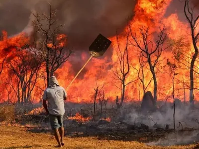 PF abre inquérito para investigar incêndio no Parque Nacional de Brasília