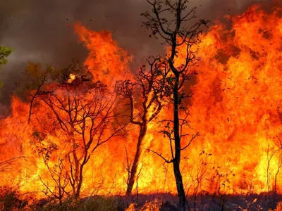 Força-tarefa combate dois focos de incêndio no Parque Nacional de Brasília