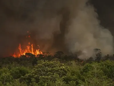 Fogo avança e queima 700 hectares do Parque Nacional de Brasília