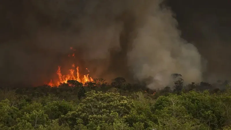 Fogo avança e queima 700 hectares do Parque Nacional de Brasília