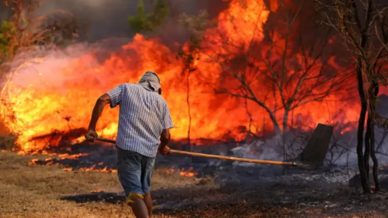 Prejuízos com incêndios no Brasil passam de R$ 1 bilhão, indica estudo