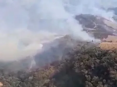 Operação Curupira prende cinco e identifica outros 34 autores de incêndios criminosos no RJ