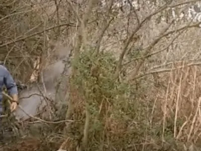 Homem é preso por atear fogo em vegetação nativa em Campos do Jordão