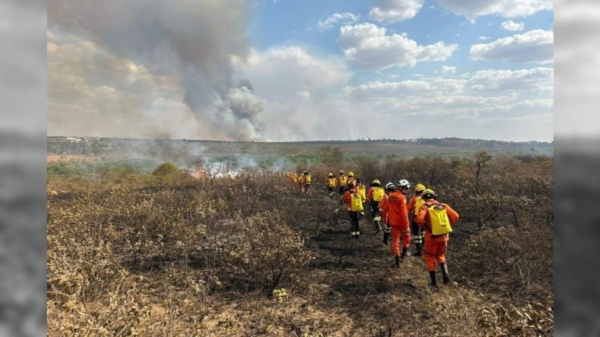 Brasília registra segunda maior seca da história com 148 dias sem chuva