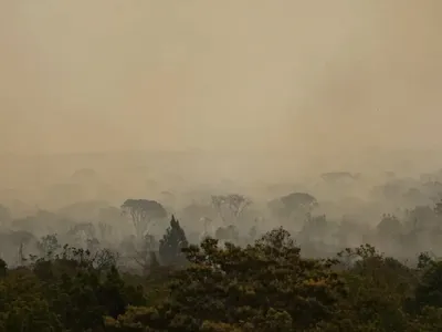 Fogo subterrâneo no Parque Nacional de Brasília pode voltar à superfície