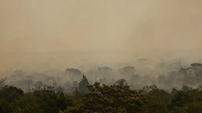 Fogo subterrâneo no Parque Nacional de Brasília pode voltar à superfície