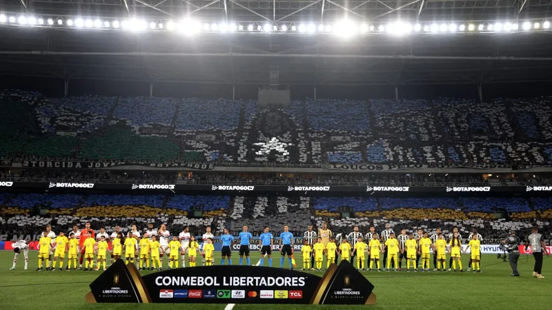 Torcida do Botafogo faz mosaico em homenagem ao Rio de Janeiro