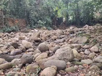 Estiagem severa causa estado de emergência em quatro municípios do Rio.