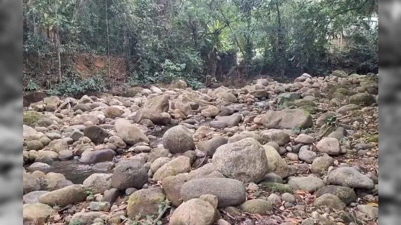 Estiagem severa causa estado de emergência em quatro municípios do Rio.