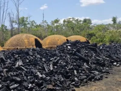 MPT resgata 8 trabalhadores em carvoaria em situação análoga à escravidão no Pará