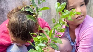 Plantio de mudas em escola celebra Semana da Árvore