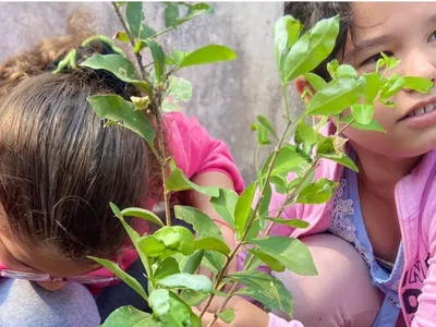 Plantio de mudas em escola celebra Semana da Árvore