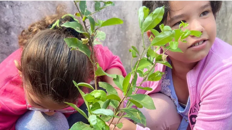 Plantio de mudas em escola celebra Semana da Árvore