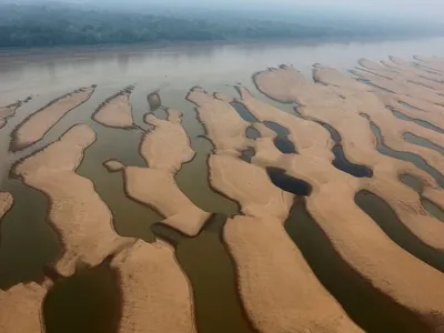 Botos são encontrados mortos no Lago Tefé por conta da seca no Amazonas