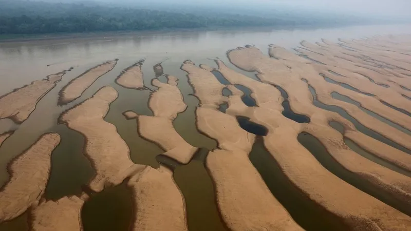 Botos são encontrados mortos no Lago Tefé por conta da seca no Amazonas