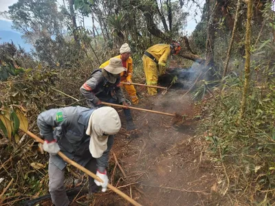 Imagens aéreas mostram ação de equipes no combate ao incêndio na Serra da Bocaina