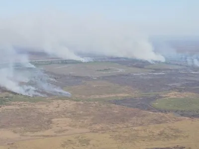 PF deflagra operação contra incêndios criminosos no Pantanal