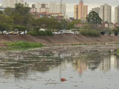 Mancha de poluição do Rio Tietê aumenta 29% em 2024