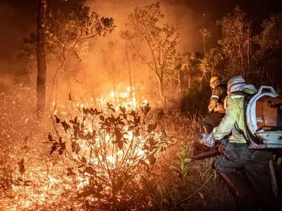 Amazônia e Pantanal registram piores queimadas em 17 anos