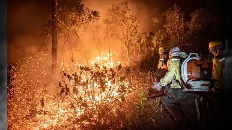 Amazônia e Pantanal registram piores queimadas em 17 anos