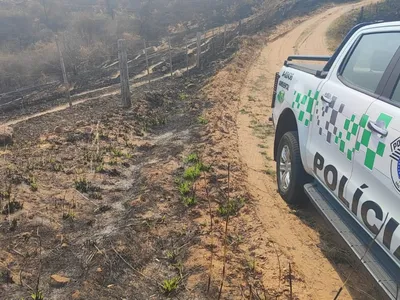 31 propriedades são flagradas com fogo em área de preservação ambiental