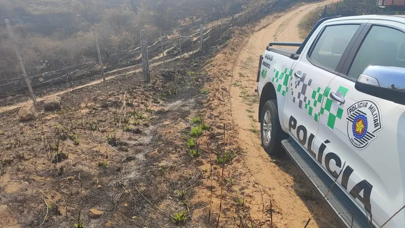 31 propriedades são flagradas com fogo em área de preservação ambiental