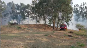 Incêndio atinge Área de Preservação Permanente em Espírito Santo do Pinhal