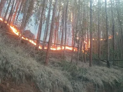 Incêndio atinge área de mata próxima à fazenda que pertence ao Santuário Nacional de Aparecida