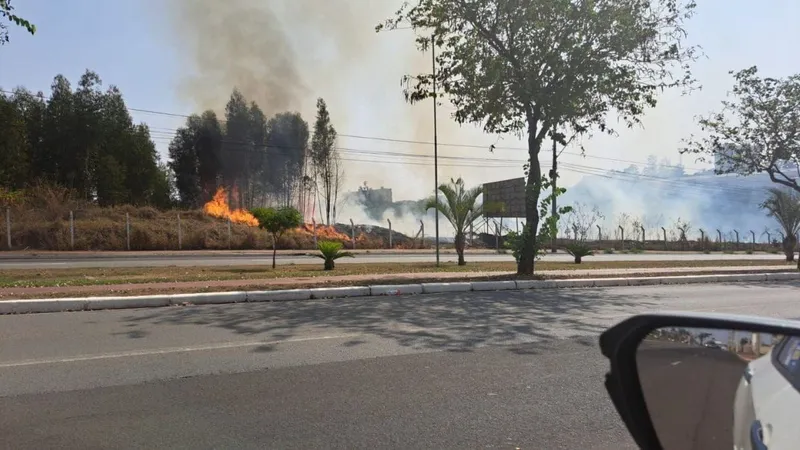 Foco de queimada consome 80 mil metros quadrados de vegetação em Nova Odessa