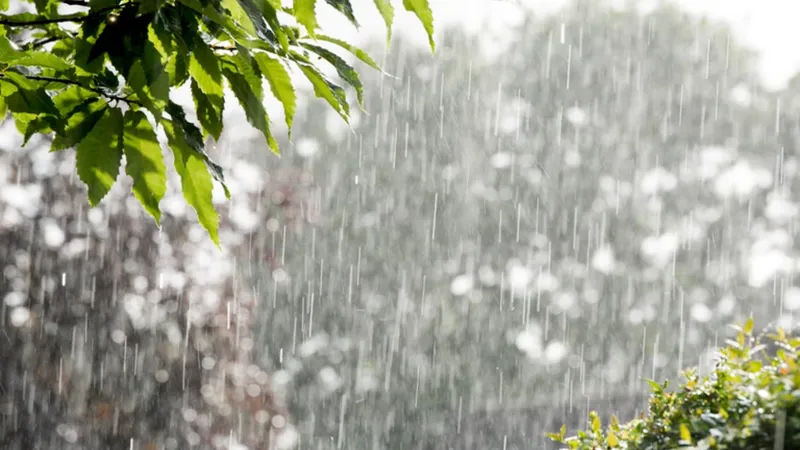 Como será o clima no Brasil em outubro? Veja onde vai chover