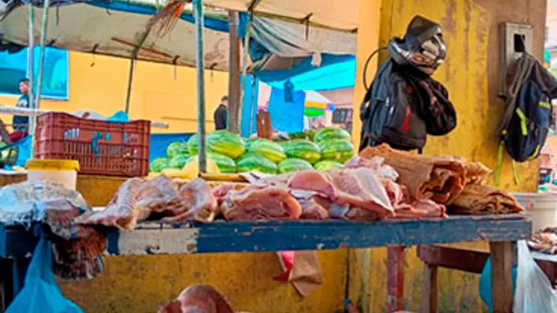 Ibama apreende 422 kg de pirarucu e até peixe-boi no Amazonas