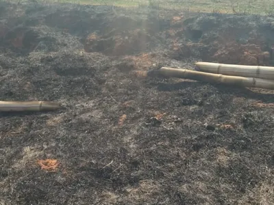 Sitiante é multado em R$ 6,7 mil por uso de fogo em vegetação em Sagres