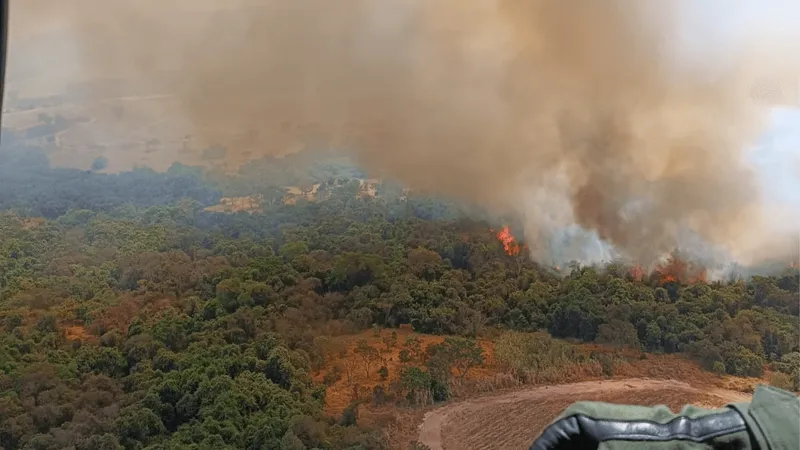 Tempo seco intensifica incêndios em São Paulo e 8 cidades têm focos ativos