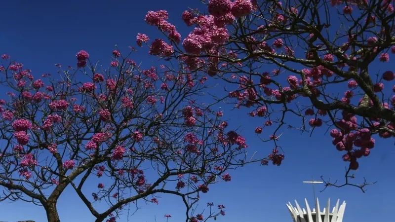 Tempo seco vai continuar na primavera? Meteorologista indica melhora na metade de outubro