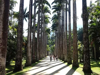 Evento de moda infringe regras no Jardim Botânico e pode ser multado