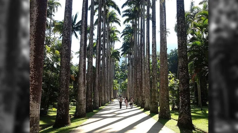 Evento de moda infringe regras no Jardim Botânico e pode ser multado