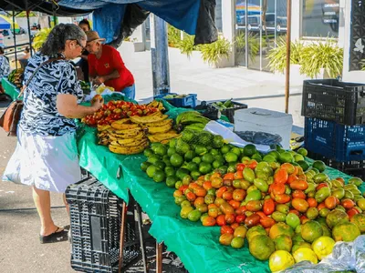 Entenda como a reforma tributária vai interferir no preço da comida a partir de 2025; assista