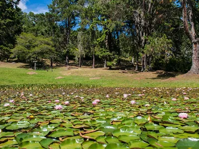 Governo de São Paulo reabre parques estaduais no Vale do Paraíba e outras regiões