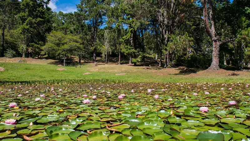 Governo de São Paulo reabre parques estaduais no Vale do Paraíba e outras regiões