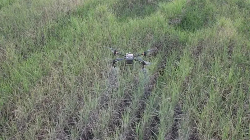 Mercado procura pilotos de drone e paga bem: "Entrei e não saí mais"