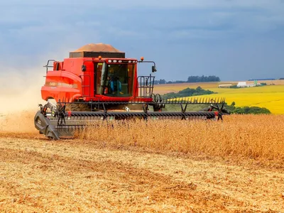 Chuvas favorecem plantio e safra de soja no Paraná é projetada em 22,4 milhões de toneladas