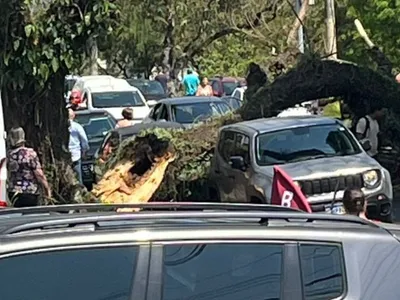 Galho de árvore cai e atinge veículo em São José dos Campos