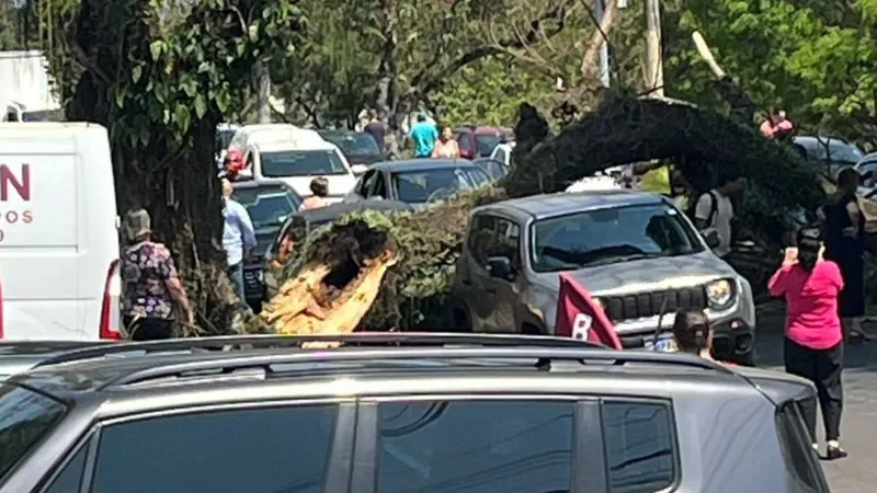 Galho de árvore cai e atinge veículo em São José dos Campos