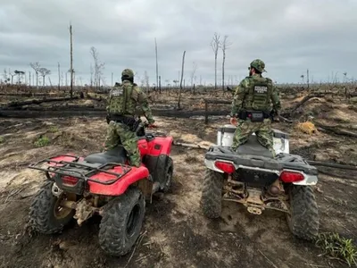 PF prende dois suspeitos de provocar incêndios na Amazônia