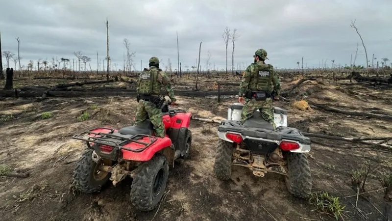 PF prende dois suspeitos de provocar incêndios na Amazônia